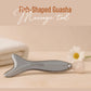 Fish-Shaped Scraping Plate