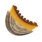 Facial Massage Brush | Totemica